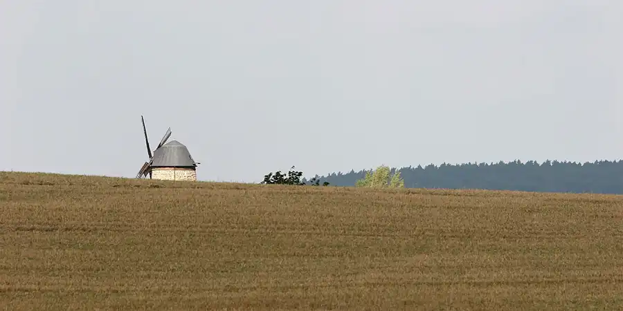 029 | 2005 | Harz | Teufelsmauer | © carsten riede fotografie