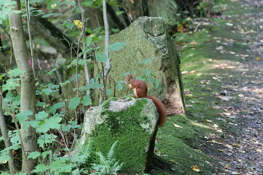 072 | 2005 | Harz | Thale | © carsten riede fotografie