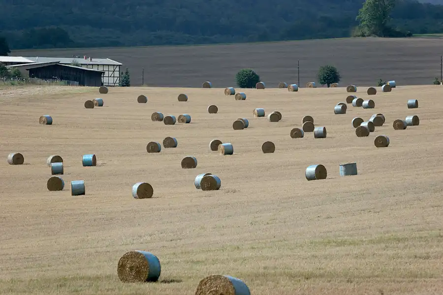 080 | 2005 | Harz | © carsten riede fotografie
