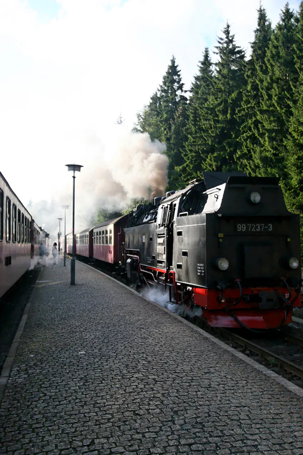 019 | 2005 | Harz | Schierke Bahnhof – Harzer Schmalspurbahn | © carsten riede fotografie