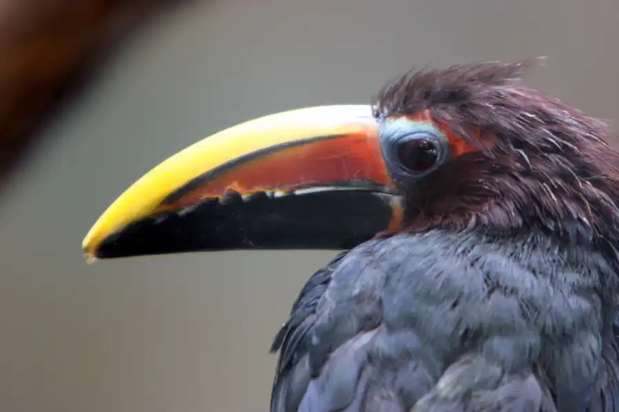 015 | 2005 | Berlin | Tierpark Friedrichsfelde | © carsten riede fotografie