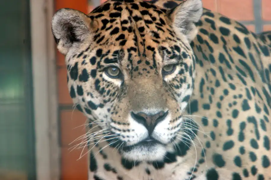 016 | 2005 | Berlin | Tierpark Friedrichsfelde | © carsten riede fotografie