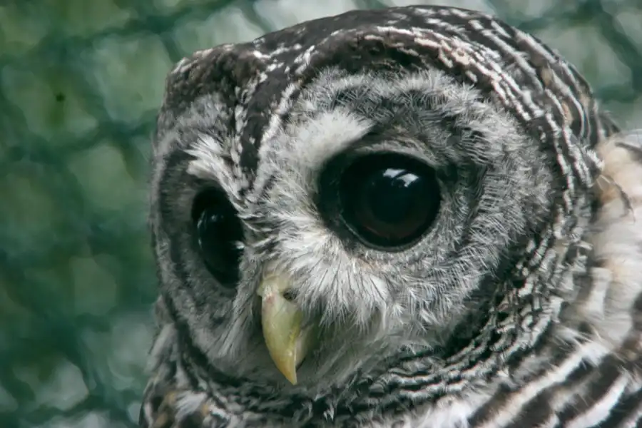 034 | 2005 | Berlin | Tierpark Friedrichsfelde | © carsten riede fotografie