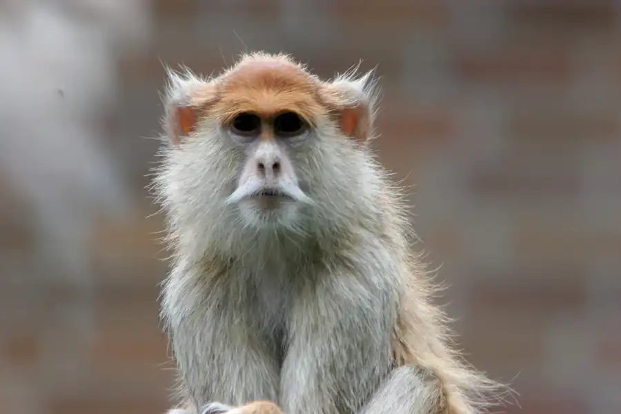 036 | 2005 | Berlin | Tierpark Friedrichsfelde | © carsten riede fotografie