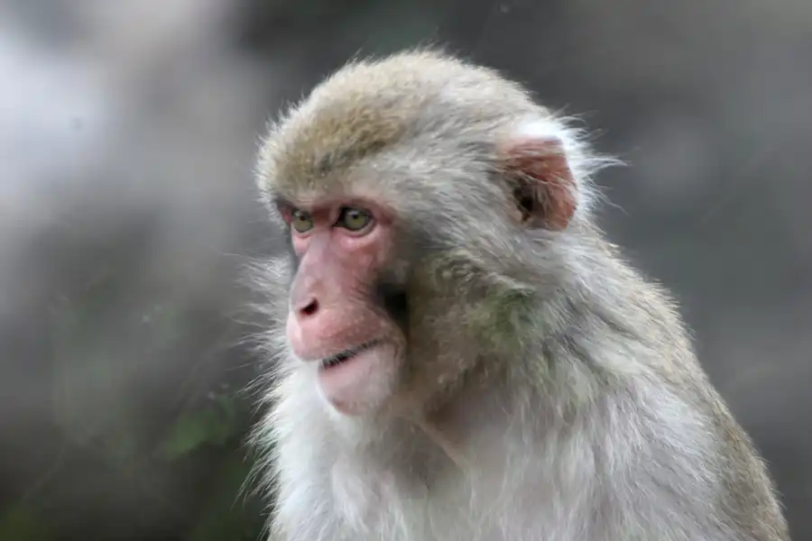 038 | 2005 | Berlin | Tierpark Friedrichsfelde | © carsten riede fotografie