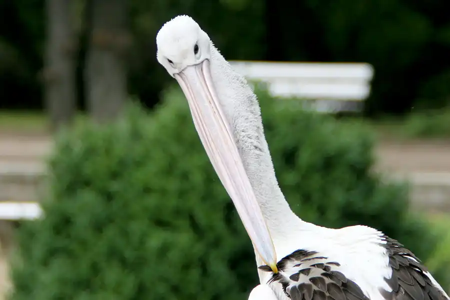 046 | 2005 | Berlin | Tierpark Friedrichsfelde | © carsten riede fotografie