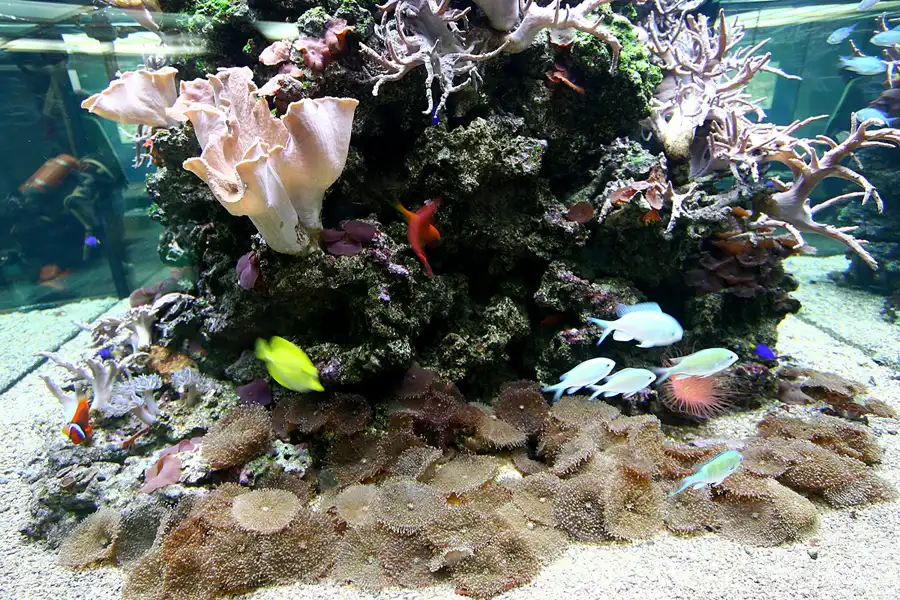 090 | 2006 | Stralsund | Meeresmuseum | © carsten riede fotografie