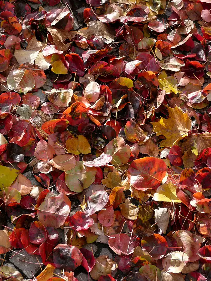 131 | 2006 | Berlin | © carsten riede fotografie