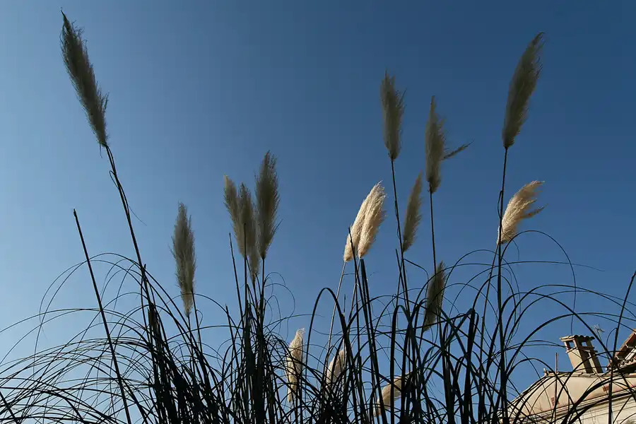166 | 2006 | Girona | Historische Altstadt | © carsten riede fotografie