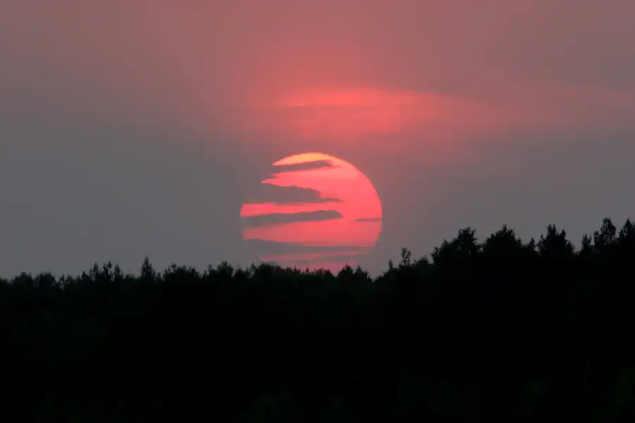 059 | 2006 | Lichterfeld | Umgebung | © carsten riede fotografie