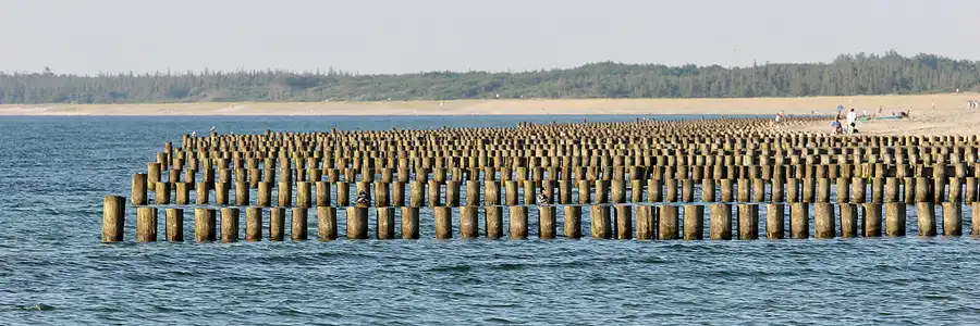 003 | 2006 | Ahrenshoop | © carsten riede fotografie