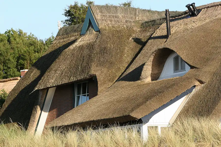 009 | 2006 | Ahrenshoop | © carsten riede fotografie