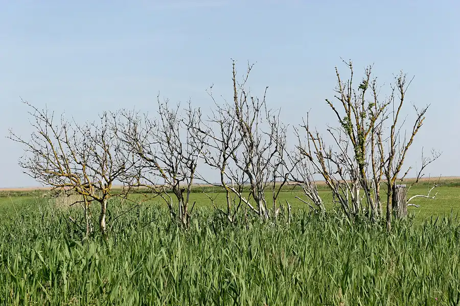 032 | 2006 | Ahrenshoop | © carsten riede fotografie