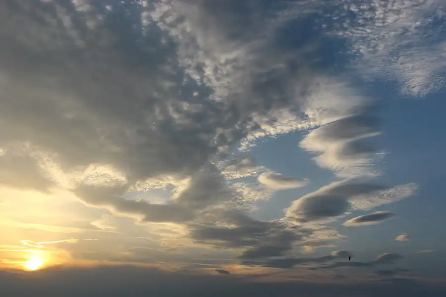 010 | 2006 | Lohme | © carsten riede fotografie