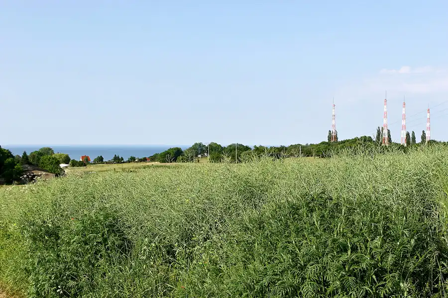 015 | 2006 | Lohme | © carsten riede fotografie