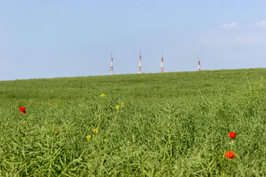 016 | 2006 | Lohme | © carsten riede fotografie