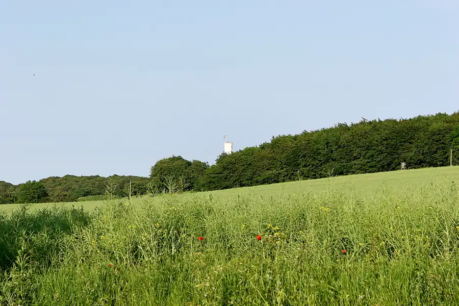 019 | 2006 | Lohme | © carsten riede fotografie