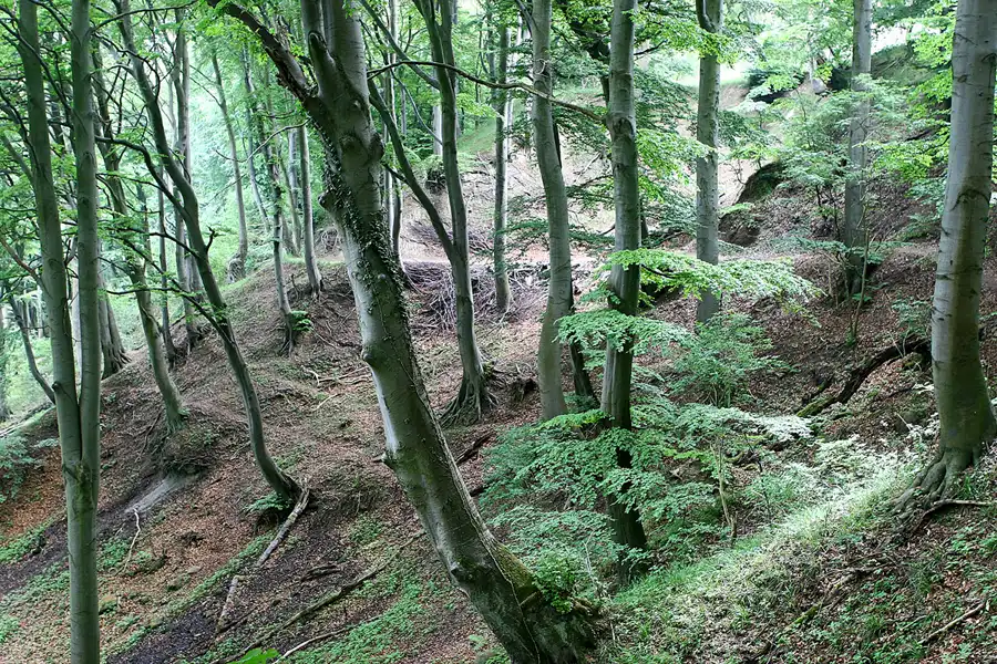 035 | 2006 | Lohme – Stubbenkammer | © carsten riede fotografie