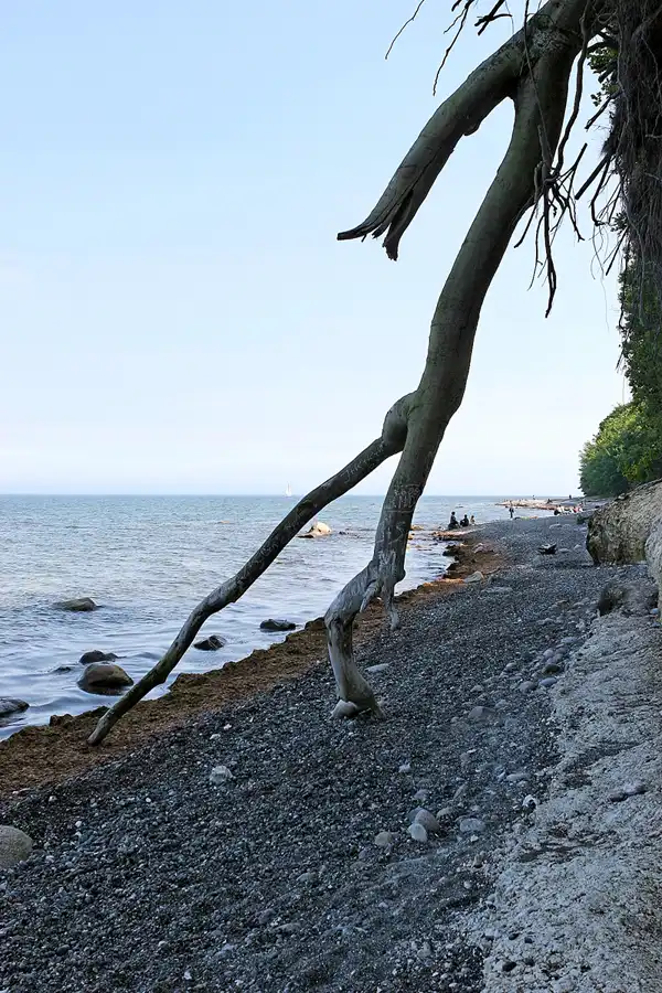 036 | 2006 | Stubbenkammer – Lohme | © carsten riede fotografie