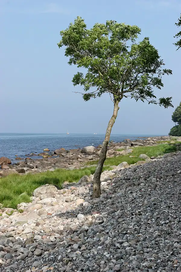 043 | 2006 | Stubbenkammer – Lohme | © carsten riede fotografie