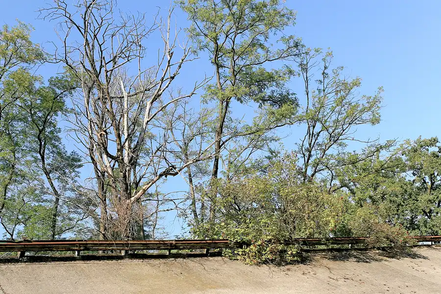 014 | 2006 | Monza | Autodromo Nazionale Monza | © carsten riede fotografie