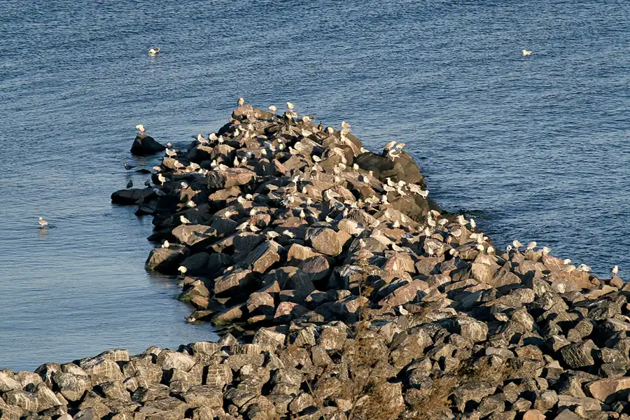 003 | 2006 | Lohme | © carsten riede fotografie