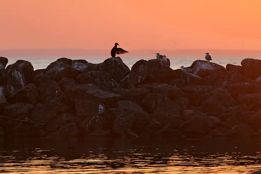 005 | 2006 | Lohme | © carsten riede fotografie