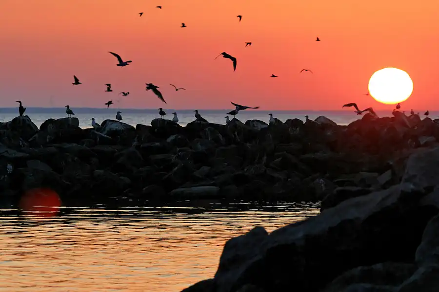 007 | 2006 | Lohme | © carsten riede fotografie