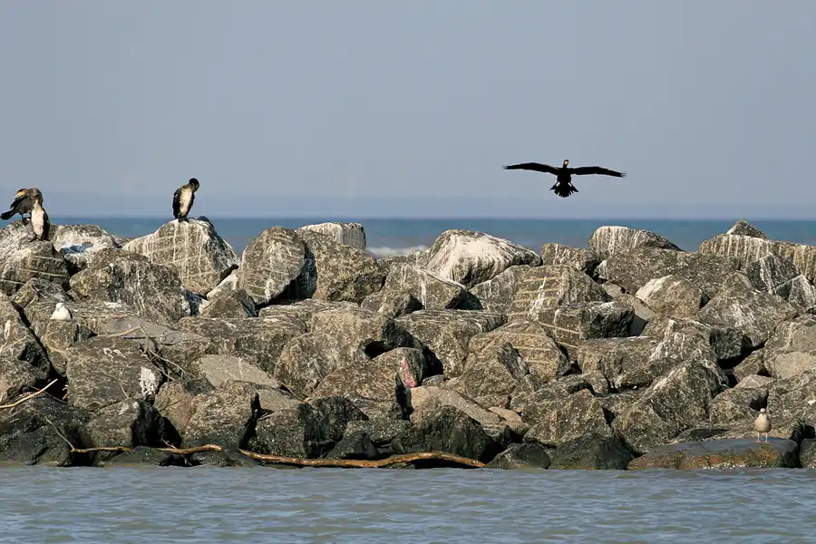 030 | 2006 | Lohme | © carsten riede fotografie