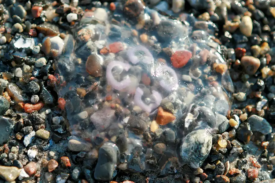 042 | 2006 | Dranske | © carsten riede fotografie