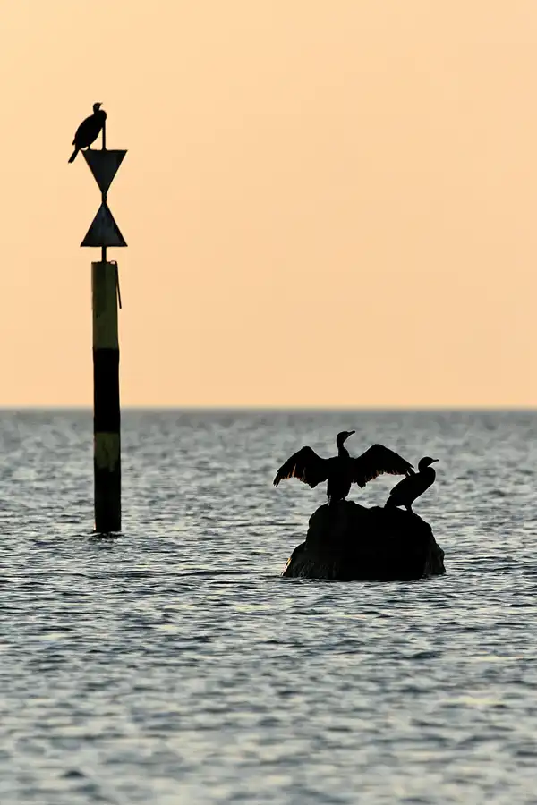 044 | 2006 | Dranske | © carsten riede fotografie