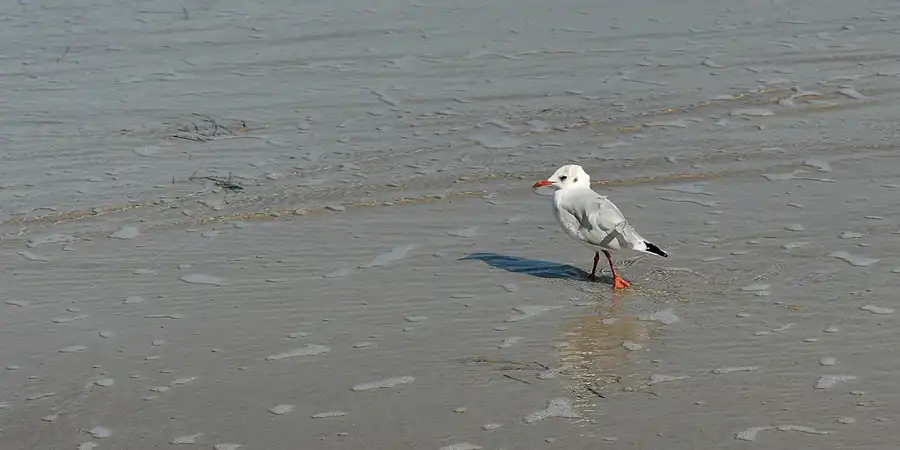 103 | 2006 | Prora | © carsten riede fotografie