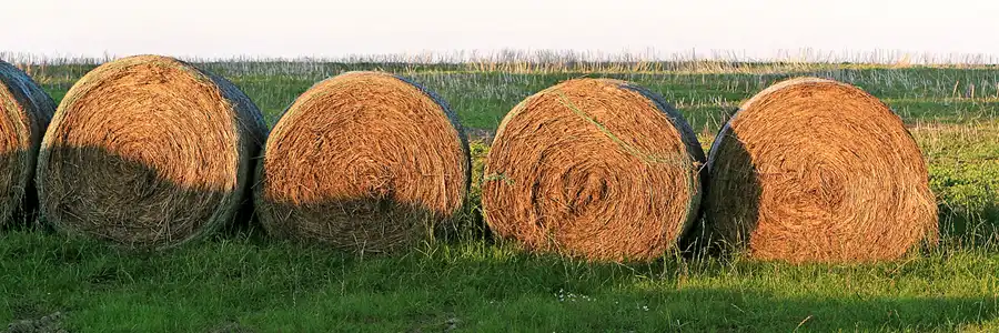 105 | 2006 | Ranzow | © carsten riede fotografie