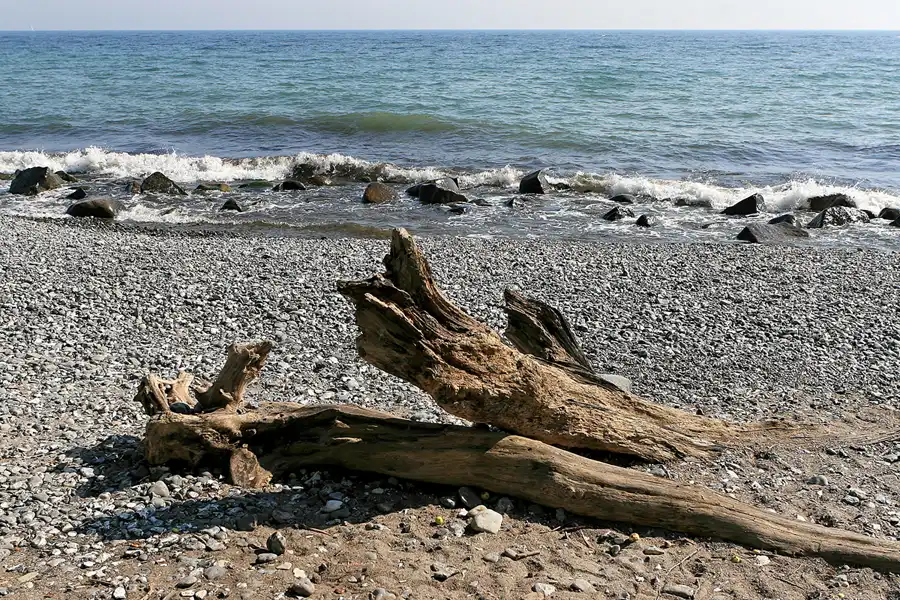 110 | 2006 | Wissower Klinken | © carsten riede fotografie