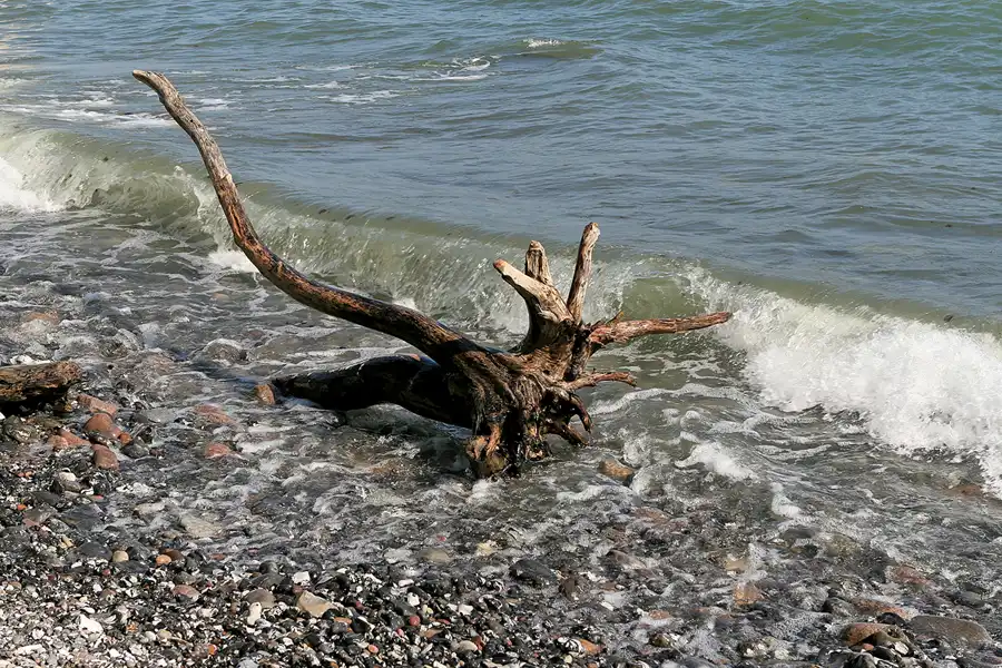 113 | 2006 | Wissower Klinken | © carsten riede fotografie