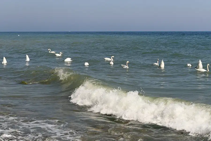 116 | 2006 | Wissower Klinken | © carsten riede fotografie