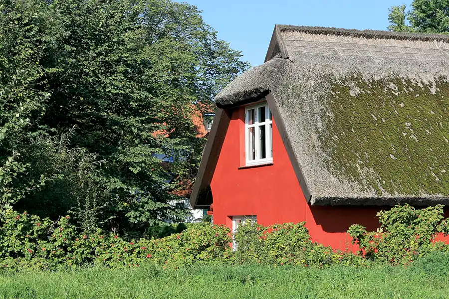 123 | 2006 | Hiddensee | © carsten riede fotografie