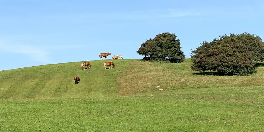 139 | 2006 | Hiddensee | © carsten riede fotografie