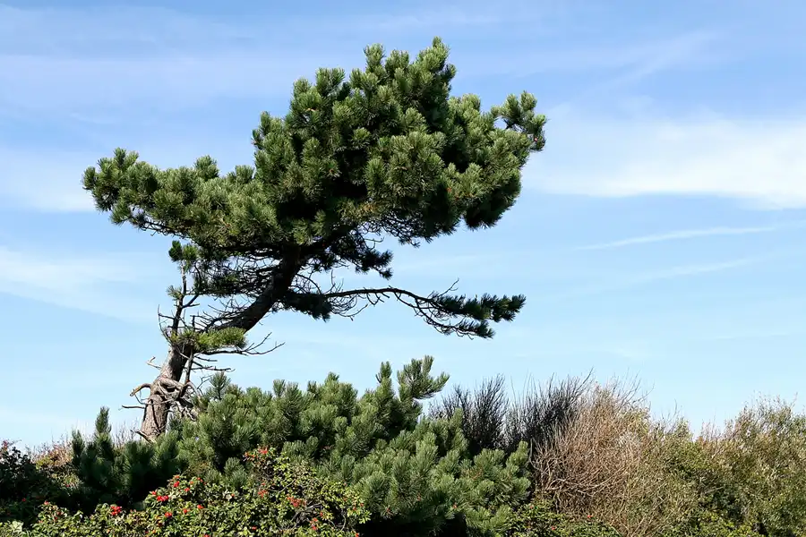 140 | 2006 | Hiddensee | © carsten riede fotografie