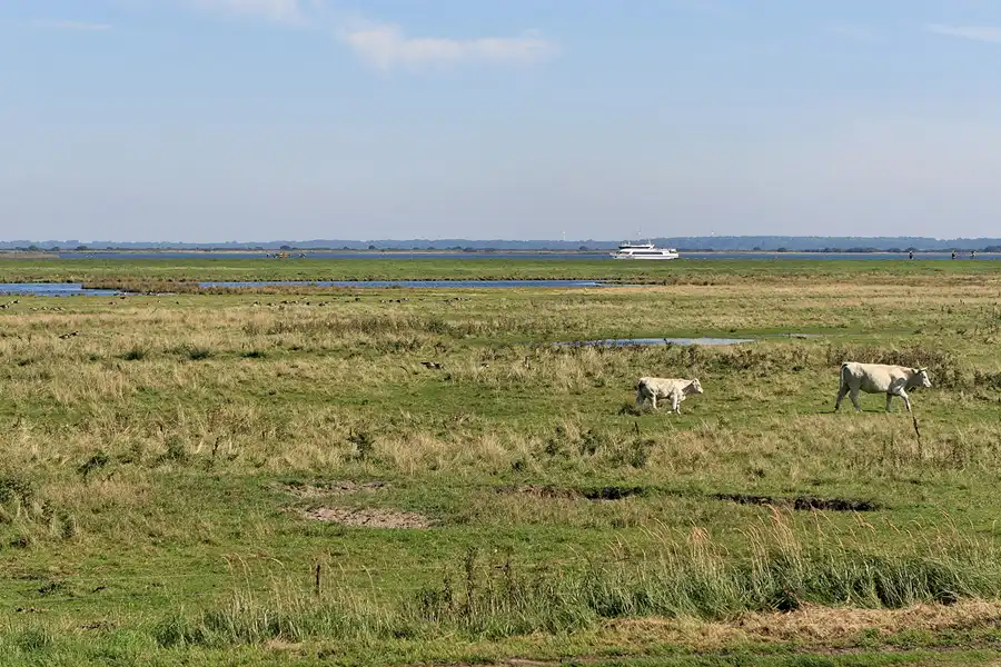141 | 2006 | Hiddensee | © carsten riede fotografie