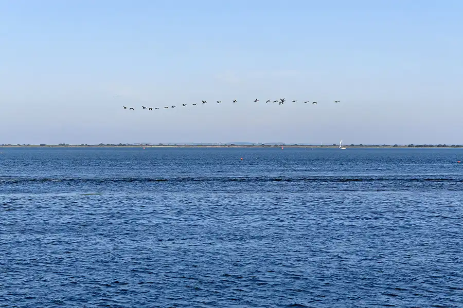 143 | 2006 | Hiddensee | © carsten riede fotografie