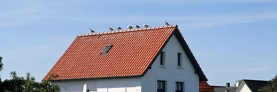 144 | 2006 | Hiddensee | © carsten riede fotografie