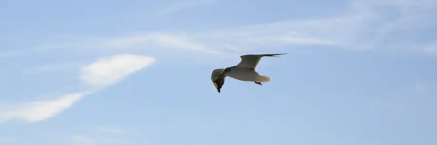 148 | 2006 | Hiddensee | © carsten riede fotografie