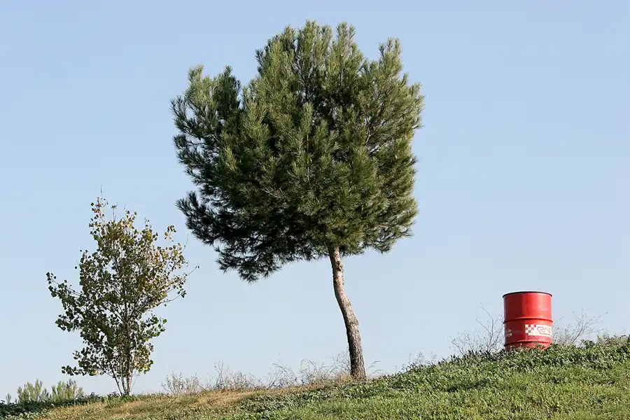 047 | 2006 | Barcelona | Circuit De Catalunya | © carsten riede fotografie