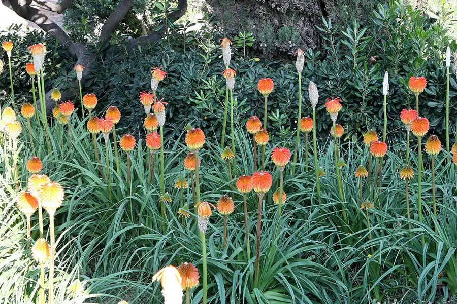 048 | 2006 | Barcelona | Castell de Montjuic | © carsten riede fotografie
