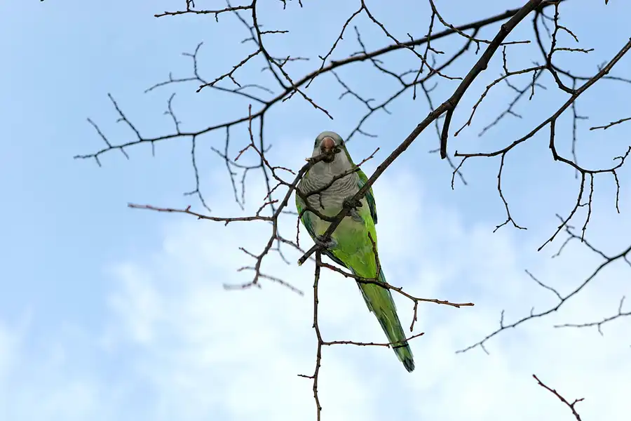 097 | 2006 | Barcelona | Parc de la Ciutadella | © carsten riede fotografie