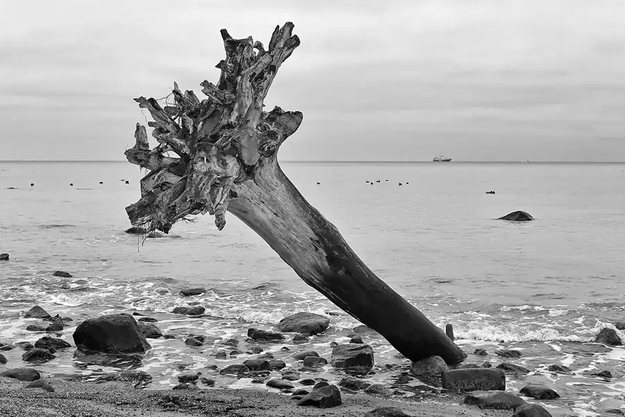 066 | 2006 | Travemünde-Niendorf | Brodtener Ufer | © carsten riede fotografie