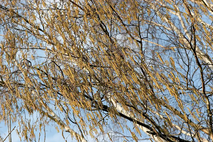 017 | 2007 | Berlin | Teufelsberg | © carsten riede fotografie
