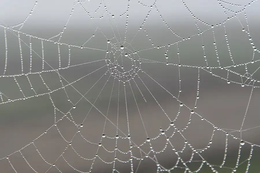 018 | 2007 | Bornos | © carsten riede fotografie