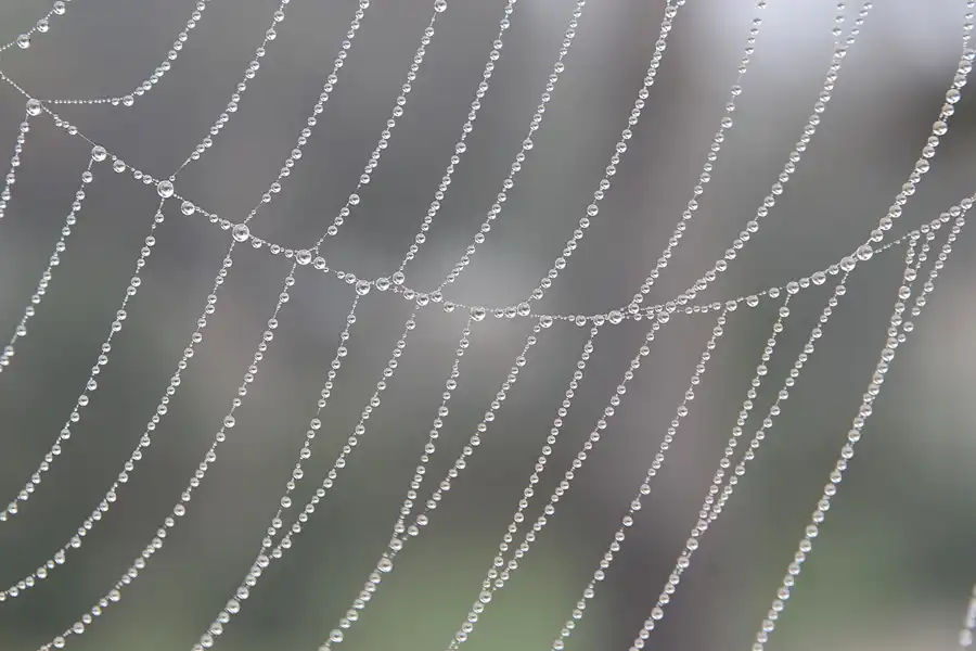 019 | 2007 | Bornos | © carsten riede fotografie